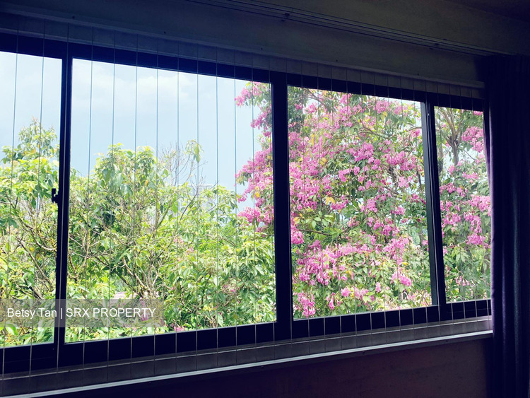 Braddell View (D20), Apartment #253778361